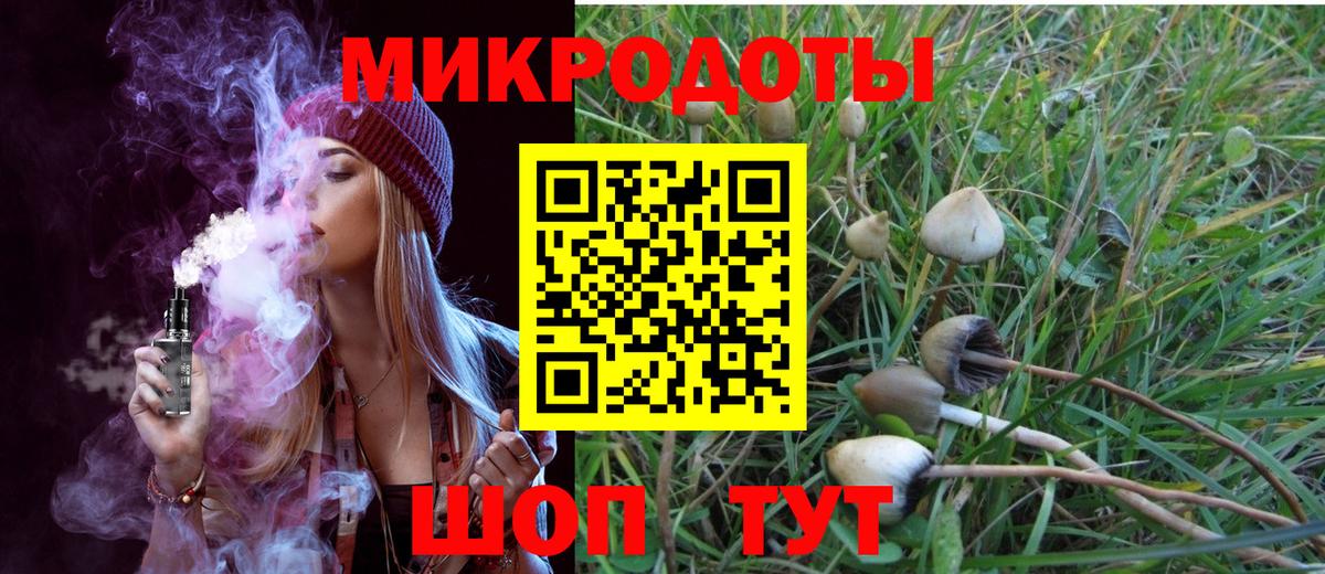 Псилоцибиновые грибы прущие грибы Сегежа